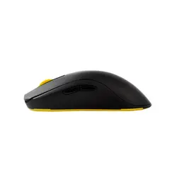 Zowie - FK (image: 383)