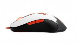 Steelseries - Sensei [RAW] - Guild Wars 2 (image: 1872)