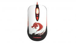 Steelseries - Sensei [RAW] - Guild Wars 2 (image: 1873)