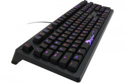 Ducky - Shine 4 (image: 3136)