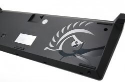 Ducky - Shine 4 (image: 3138)