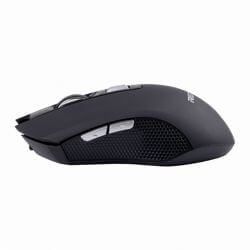 Rexus - Xierra 110 (image: 4952)