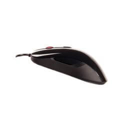 1st Player - GM3 (image: 5319)