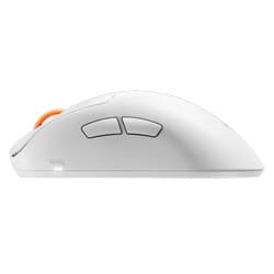 Steelseries - Rival Pro (image: 10645)